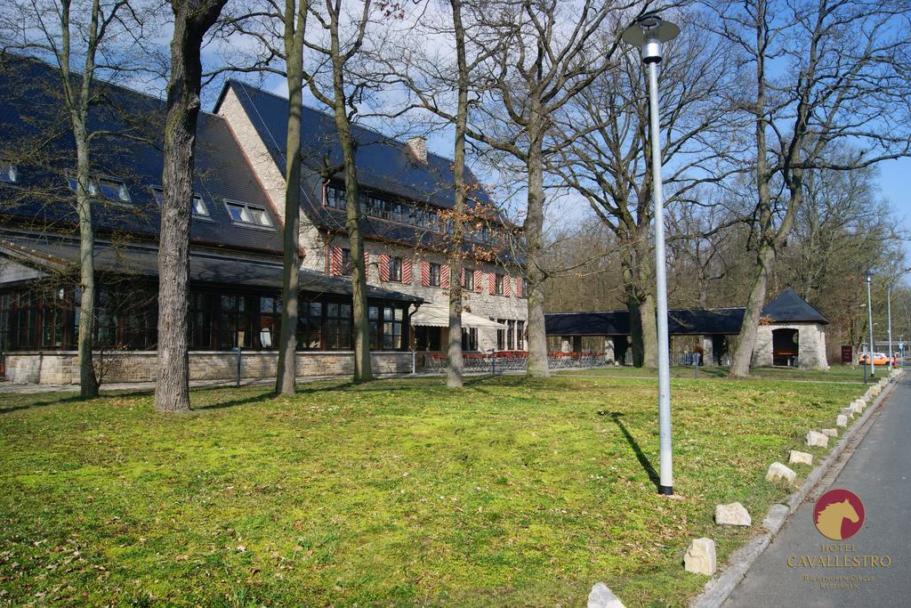 Cavallestro Classic Kitzingen Exterior photo